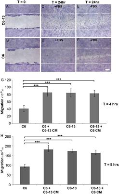 Cx43-Associated Secretome and Interactome Reveal Synergistic Mechanisms for Glioma Migration and MMP3 Activation